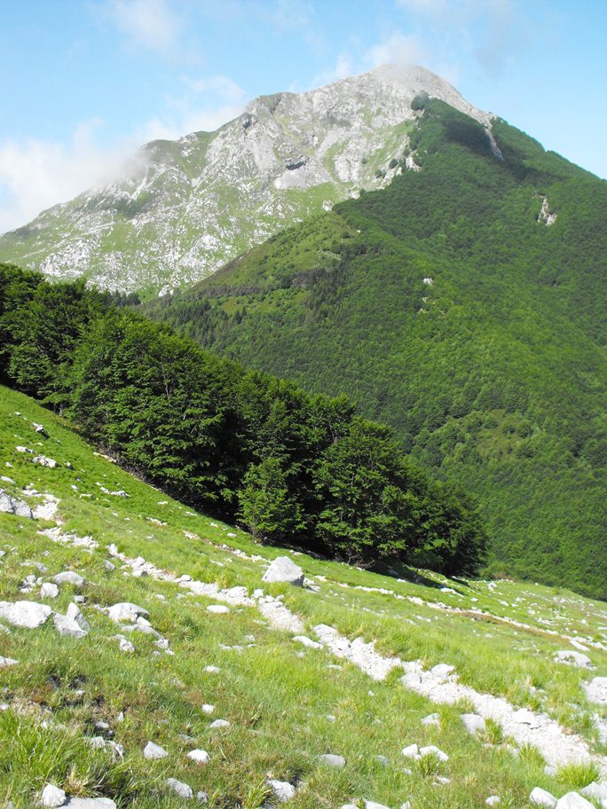 Pania della Croce (Alpi Apuane)
