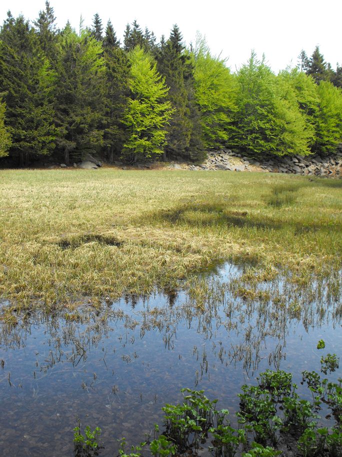 Monte Braiola (Appennino Tosco-Emiliano)