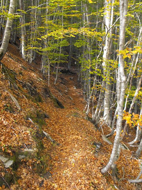 Monte Freddone - Alpi Apuane