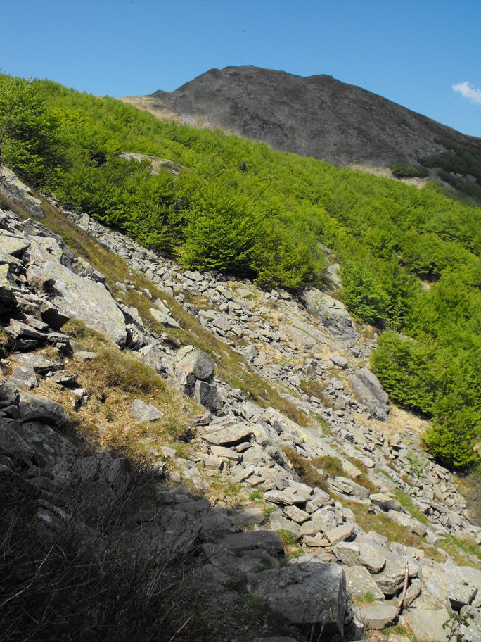 Monte Braiola (Appennino Tosco-Emiliano)