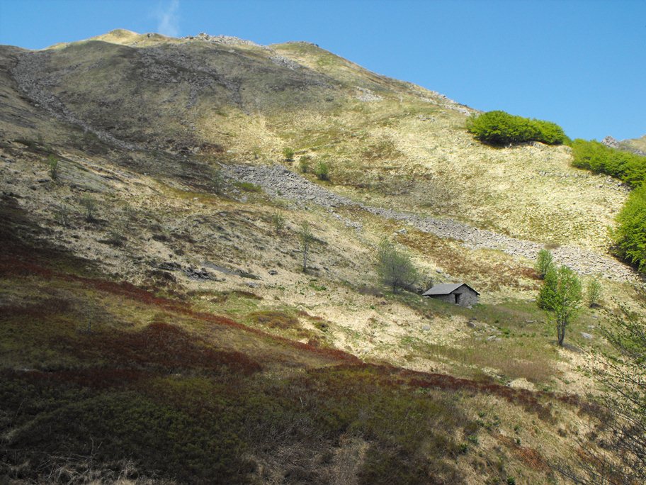 Monte Braiola (Appennino Tosco-Emiliano)