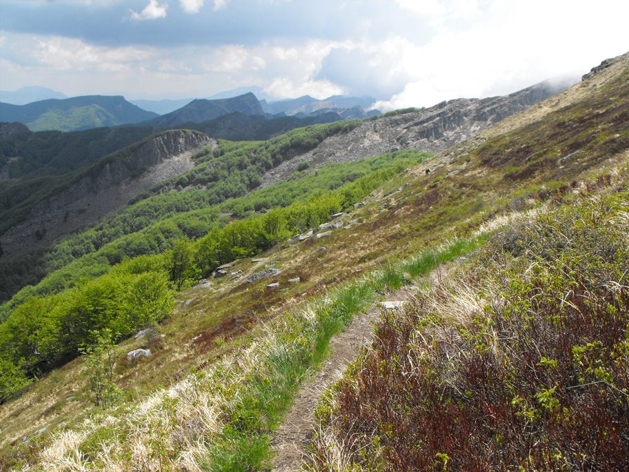 Monte Braiola (Appennino Tosco-Emiliano)