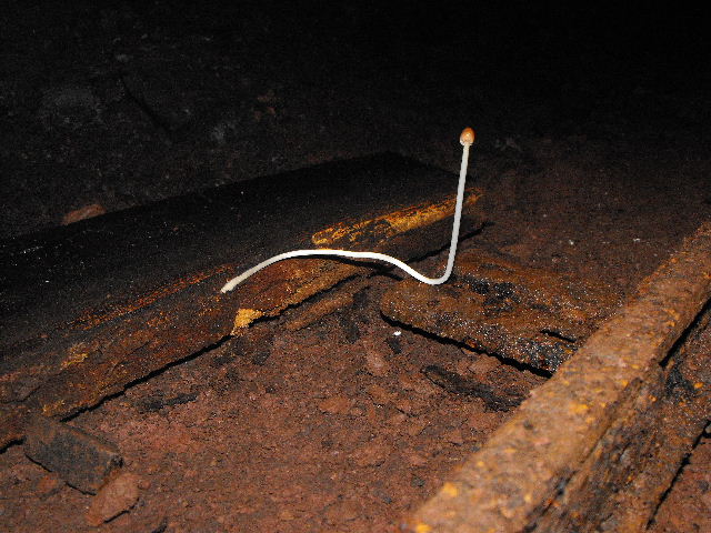 Miniera di Gambatesa 39