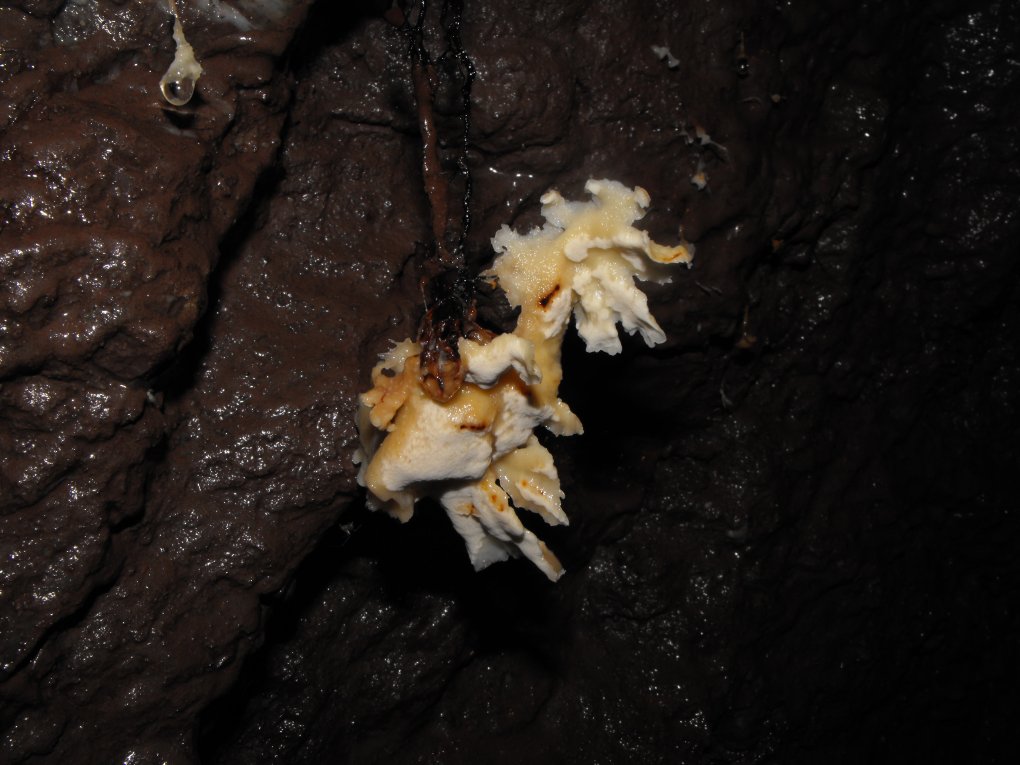 Miniera di Gambatesa 21
