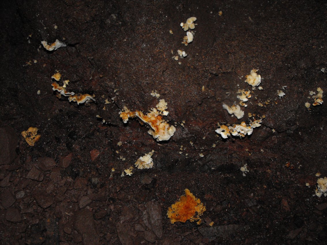 Miniera di Gambatesa31