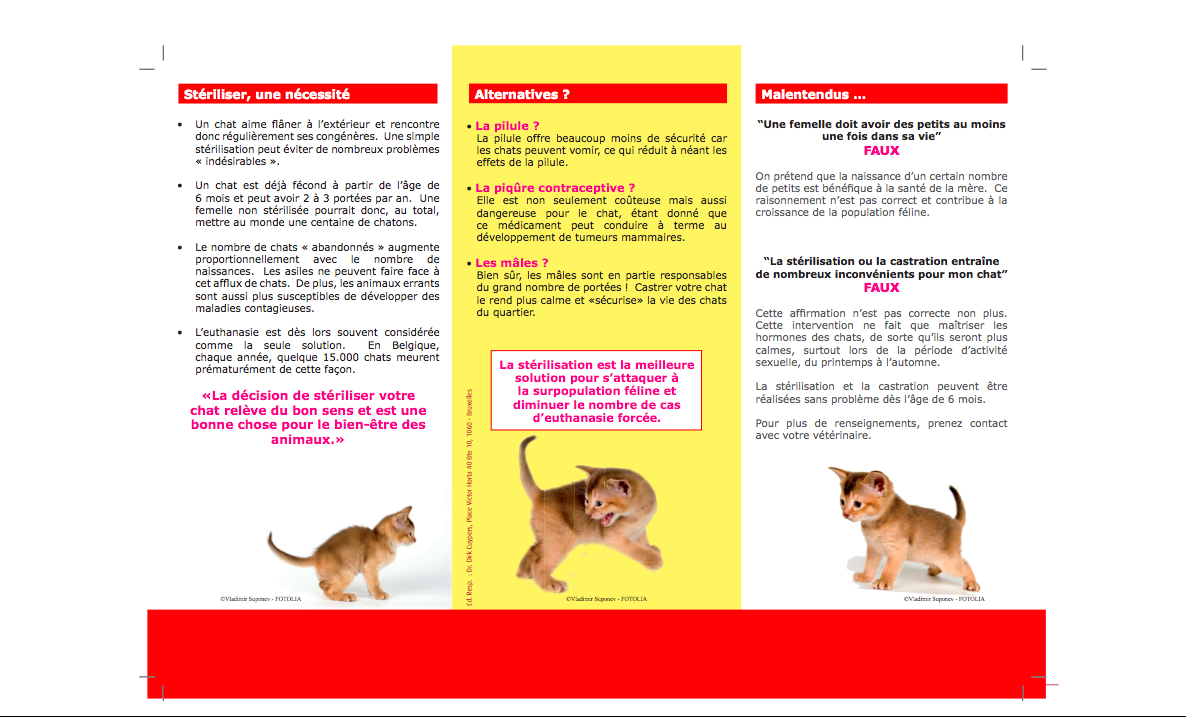 Sterilizzazione gatti?