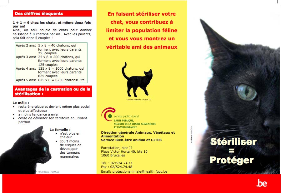Sterilizzazione gatti?