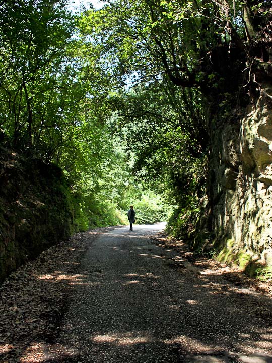 La Via Francigena