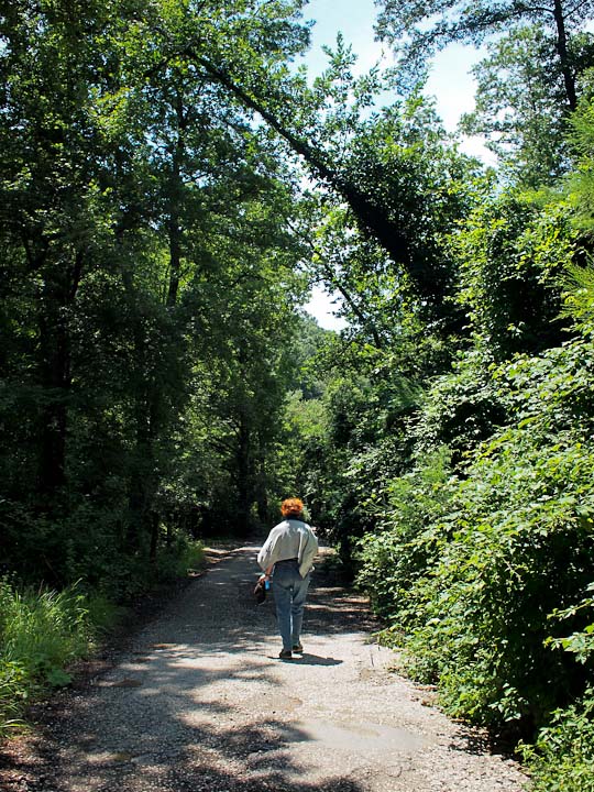 La Via Francigena