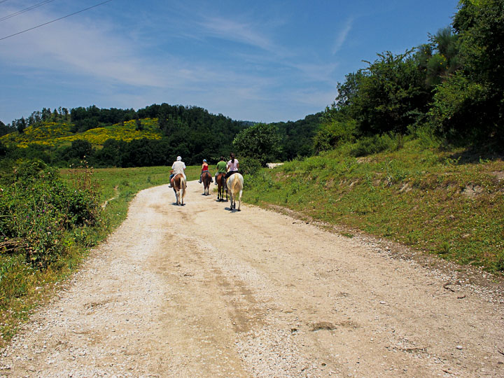 La Via Francigena
