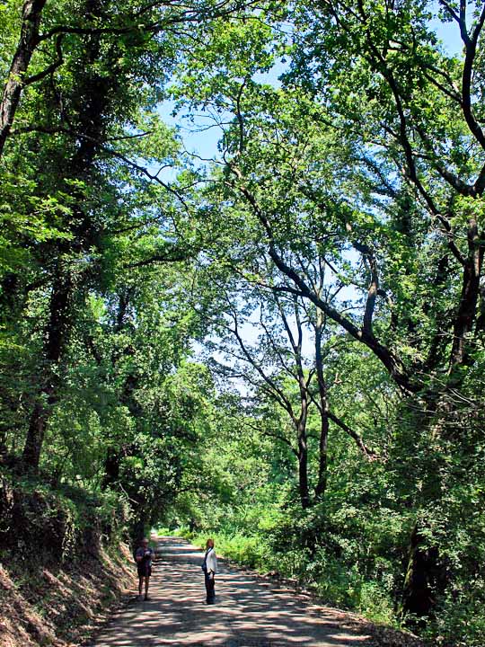 La Via Francigena