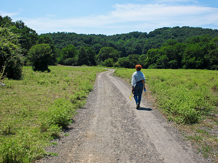 La Via Francigena