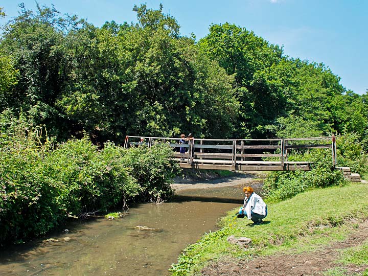 La Via Francigena