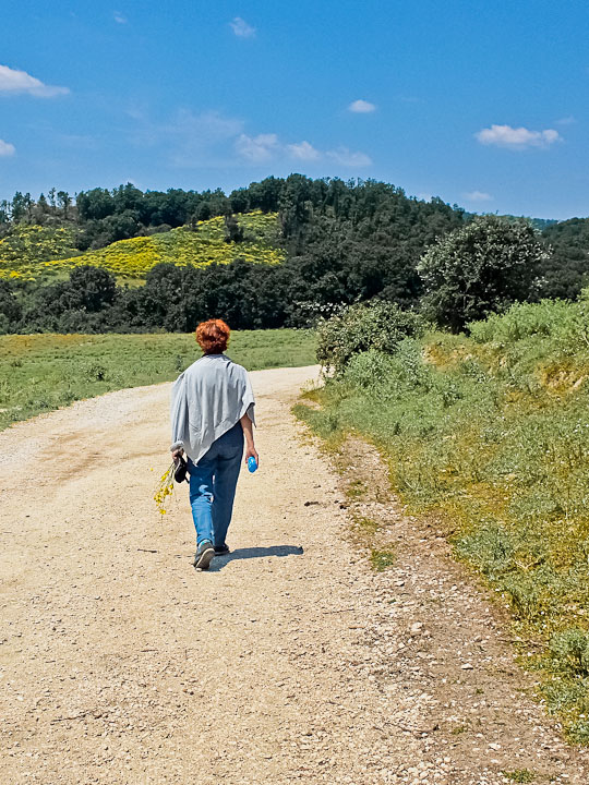 La Via Francigena