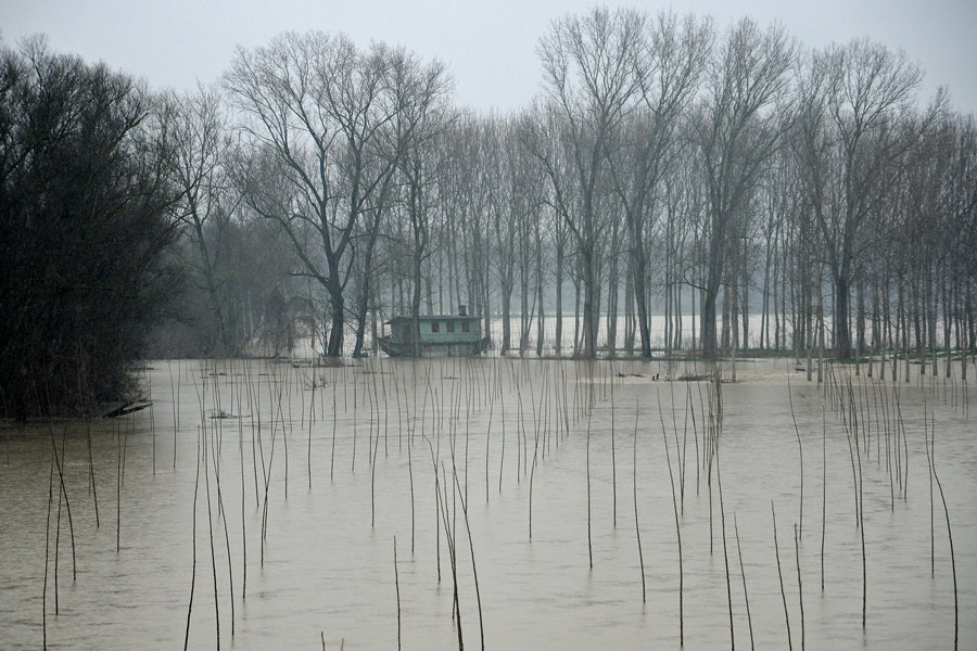 Il Grande Fiume: itinerari intorno al Po