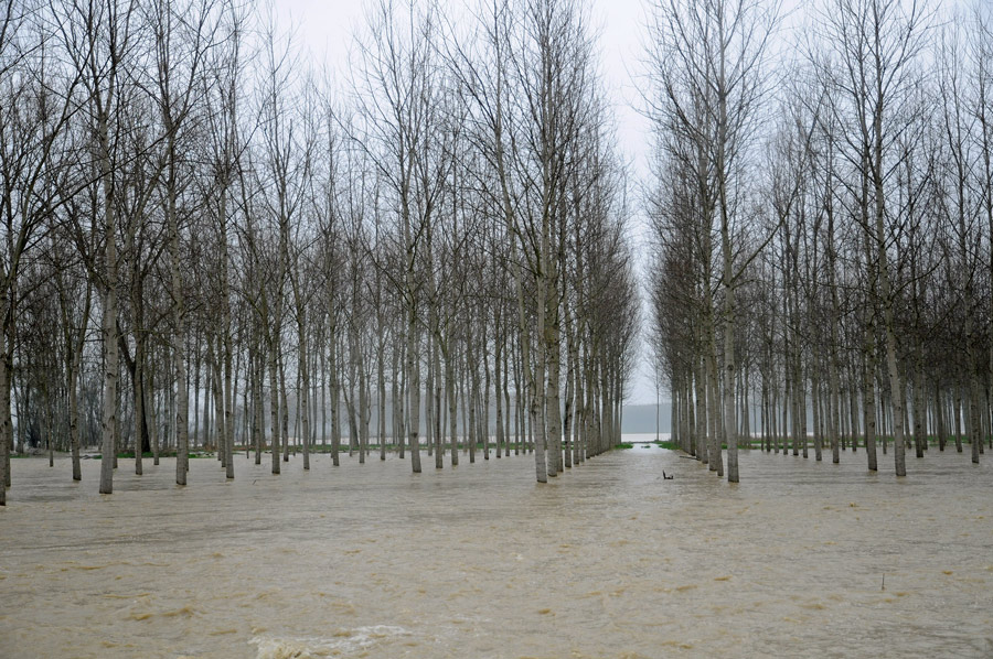 Il Grande Fiume: itinerari intorno al Po