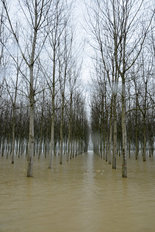 Il Grande Fiume: itinerari intorno al Po