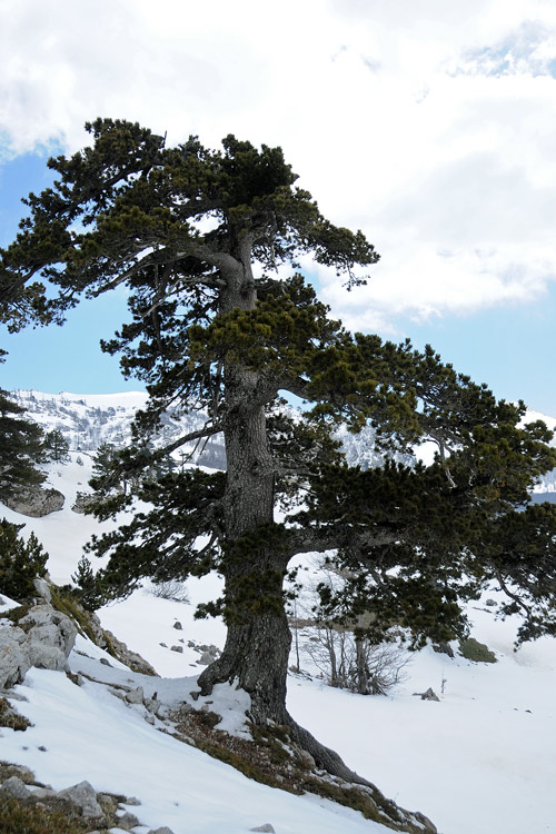 Itinerari nel Massiccio del Pollino