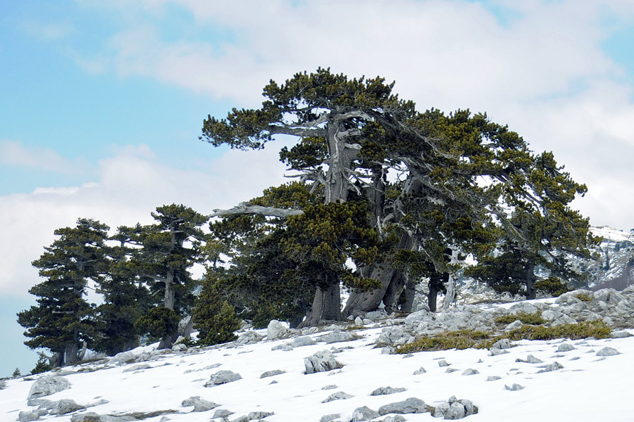 Itinerari nel Massiccio del Pollino