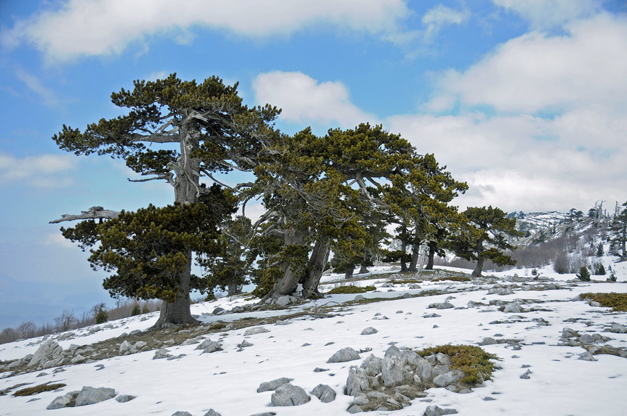 Itinerari nel Massiccio del Pollino