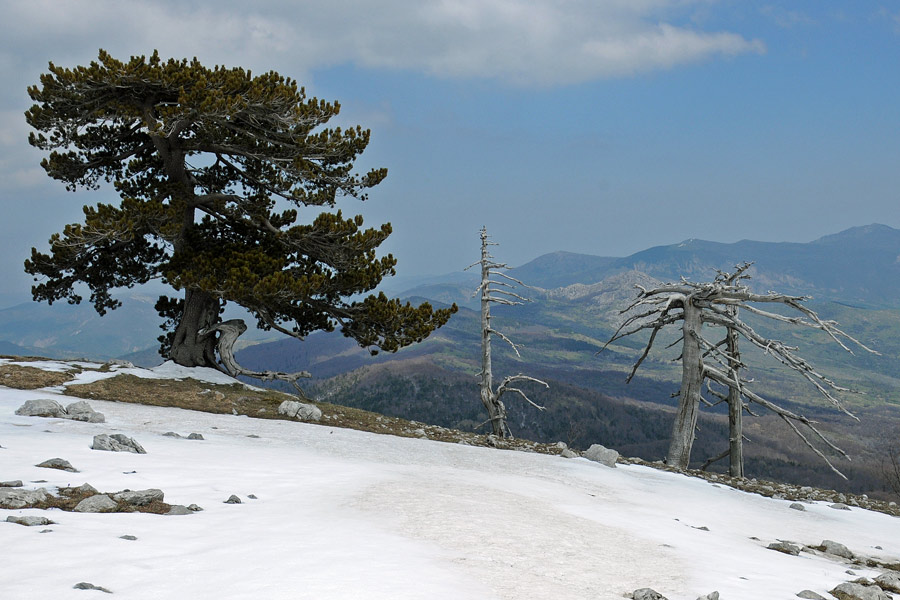 Itinerari nel Massiccio del Pollino