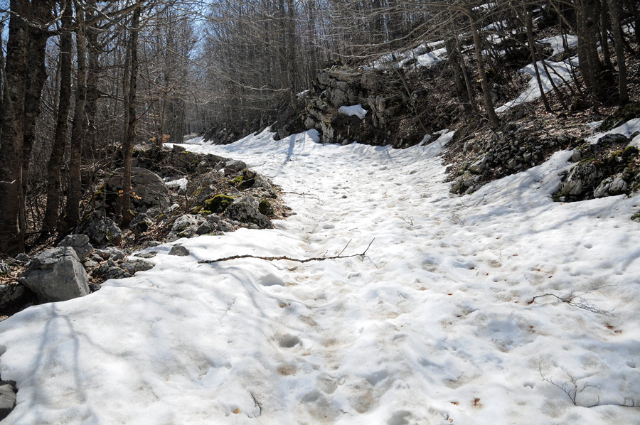 Itinerari nel Massiccio del Pollino