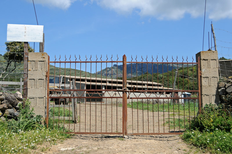 Monte Arcuentu