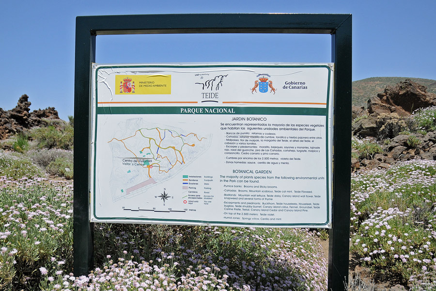 La flora del Parco Nazionale del Teide