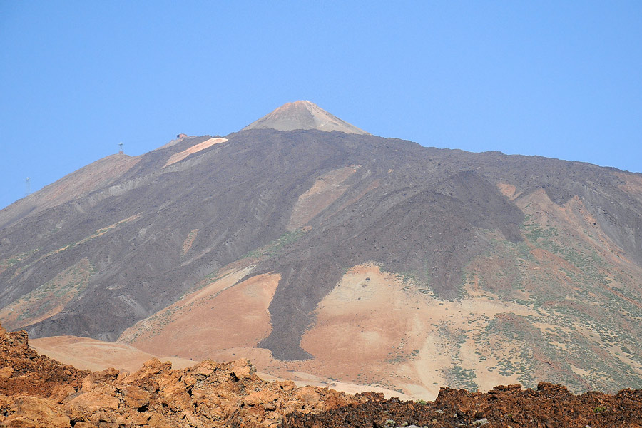 La flora del Parco Nazionale del Teide