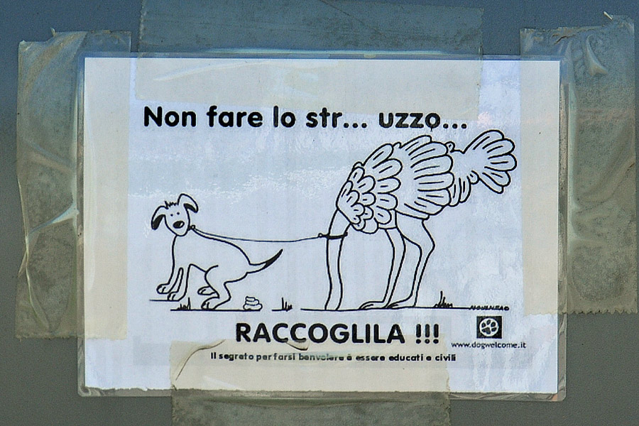 TOPONOMASTICA e CARTELLONISTICA