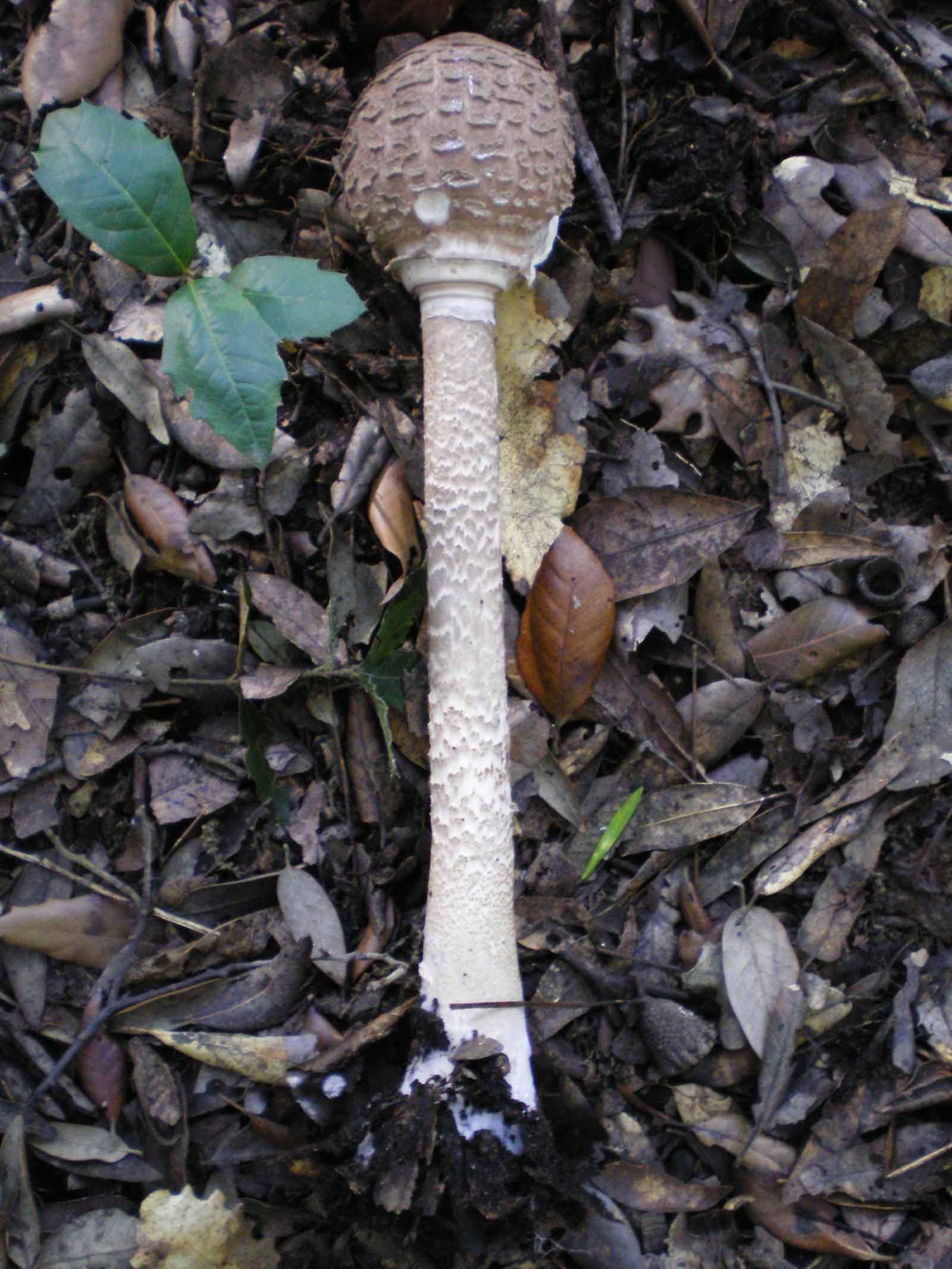 Uscita di oggi 6 ottobre 2010