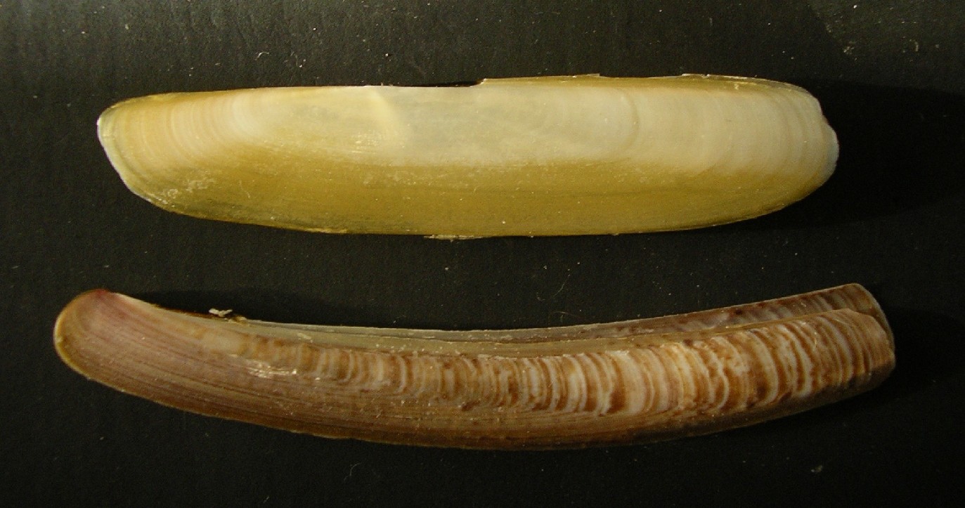 bella mareggiata ...