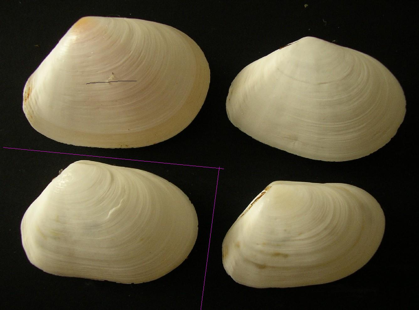 bella mareggiata ...