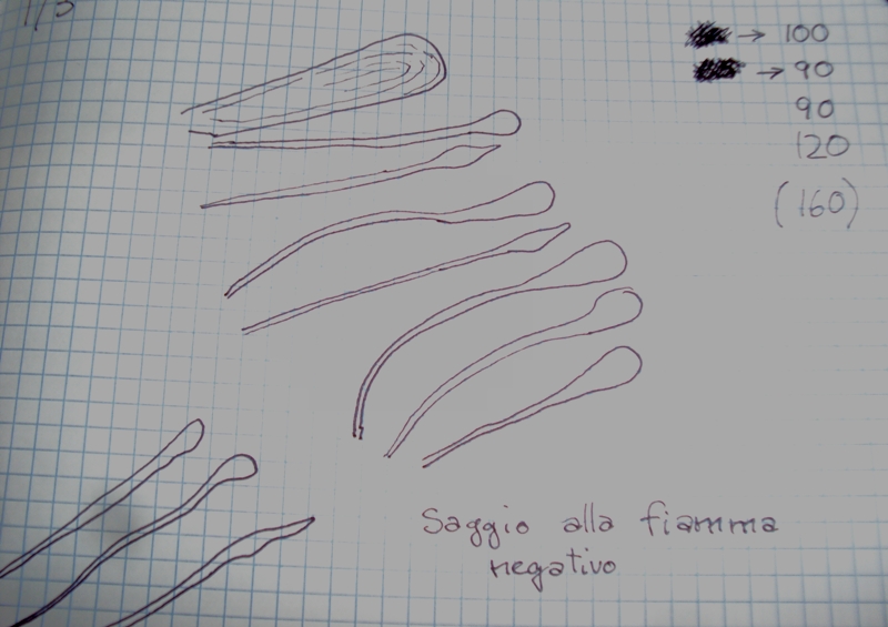 Il mio primo Ganoderma valesiacum!