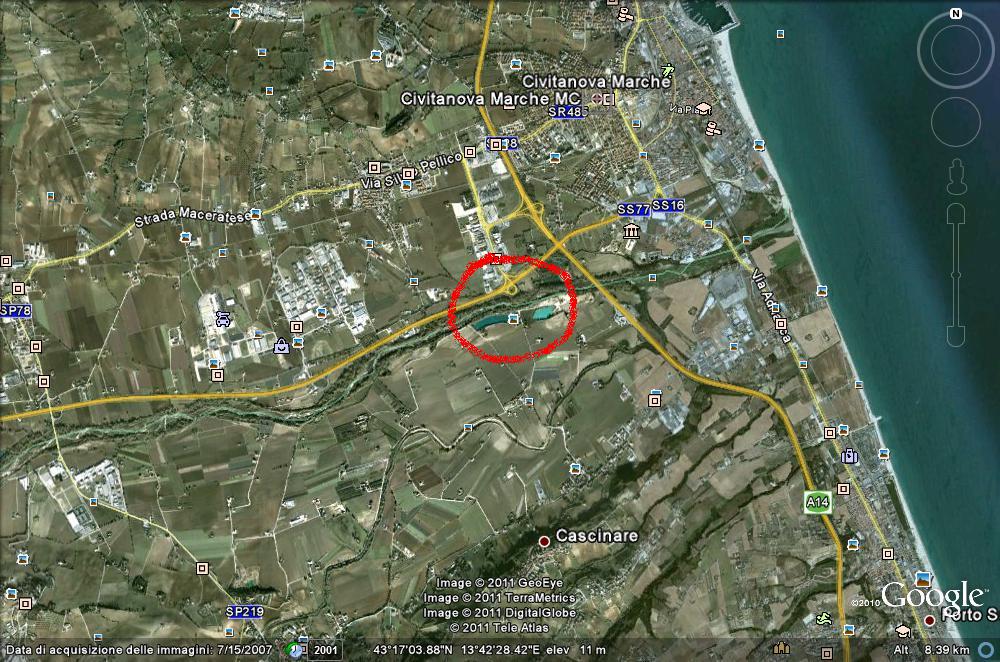 Cervo a Civitanova Marche O_O