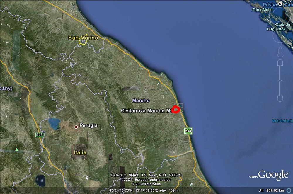 Cervo a Civitanova Marche O_O