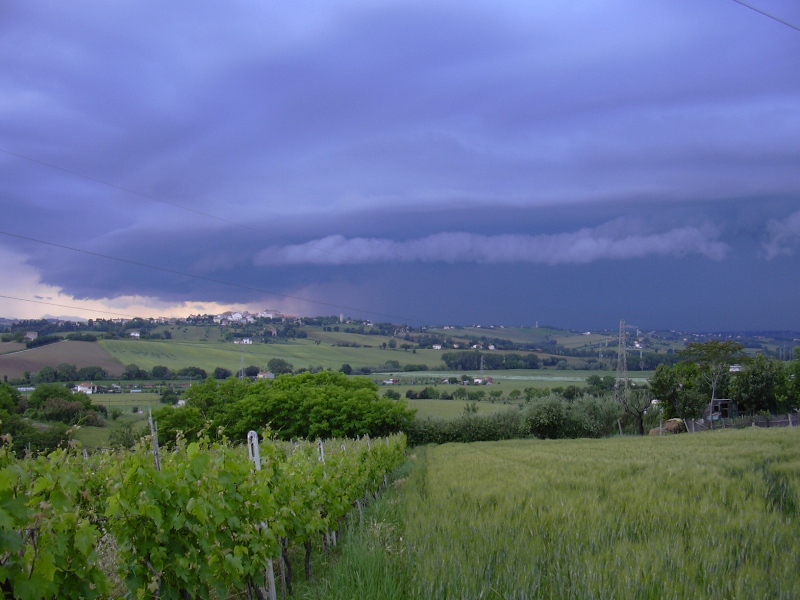 fungo atomico o temporale?