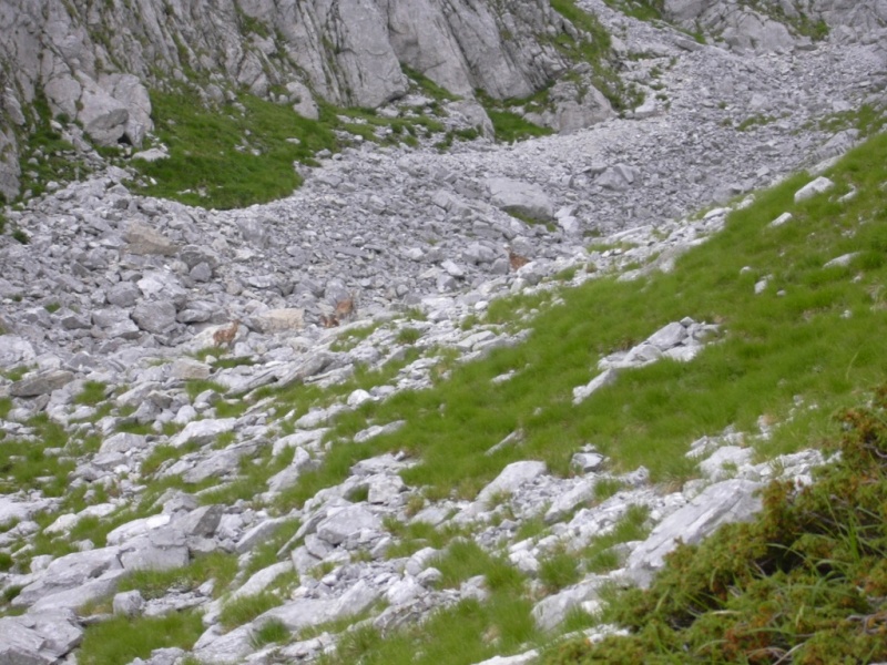 Pania della Croce (Alpi Apuane)