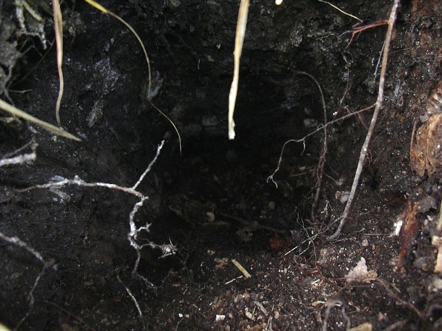 scavo verticale
