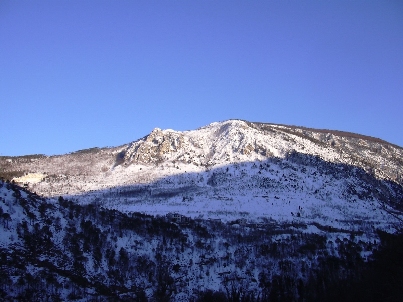 chi saltellava sulla neve?