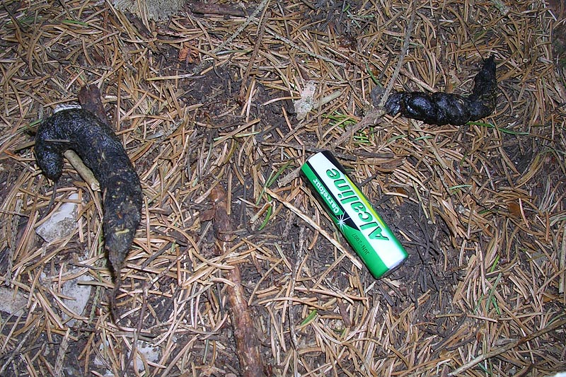 [FVG] fatte di volpe?