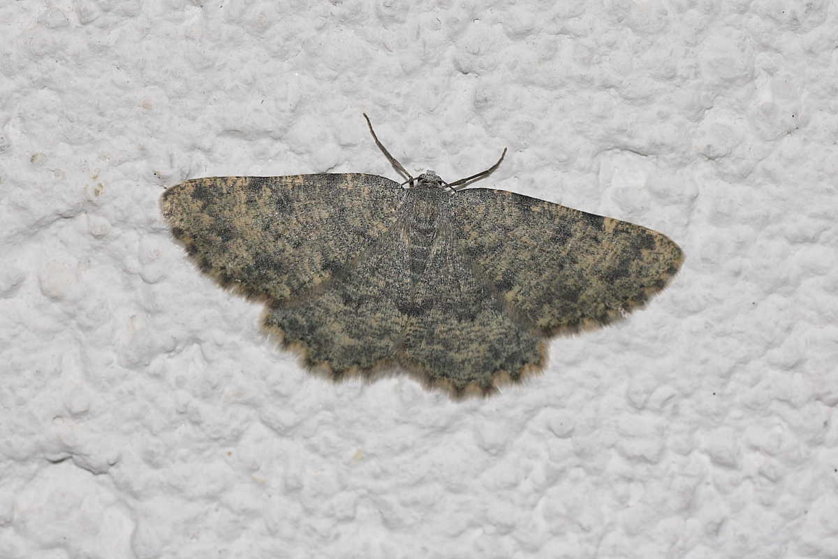 Quattro notturne da identificare