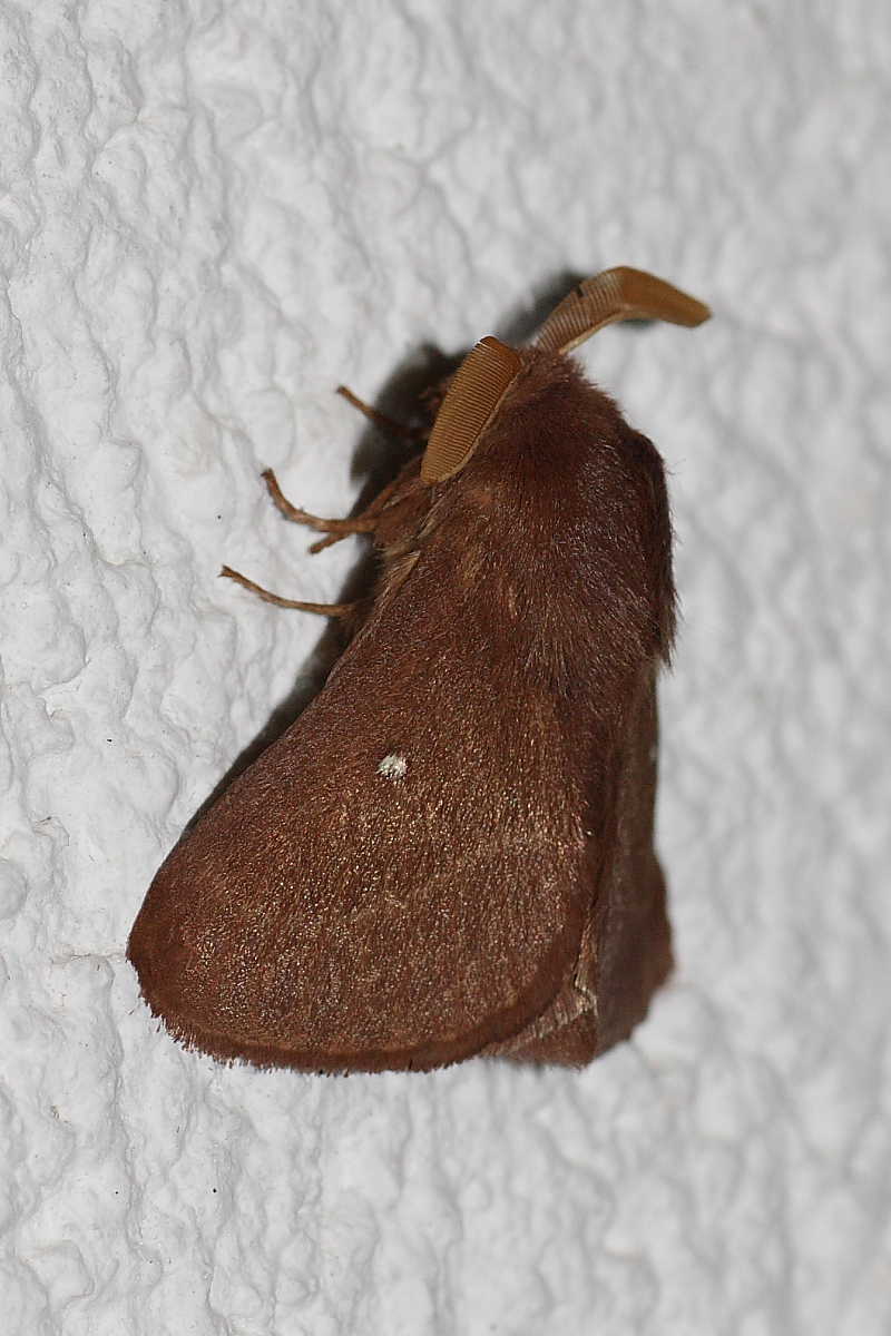 Quattro notturne da identificare