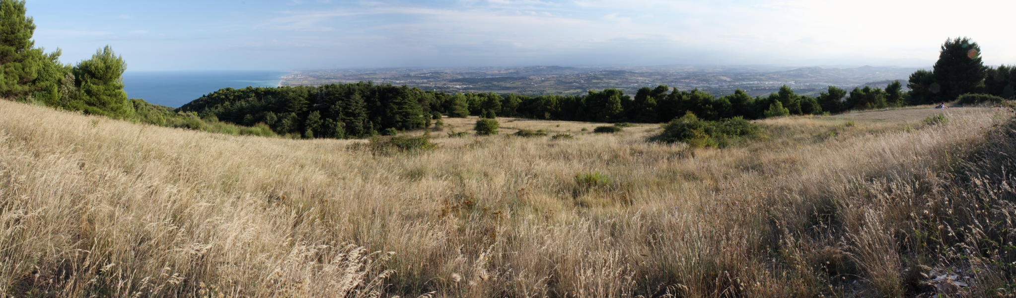 Cercando la Charaxes