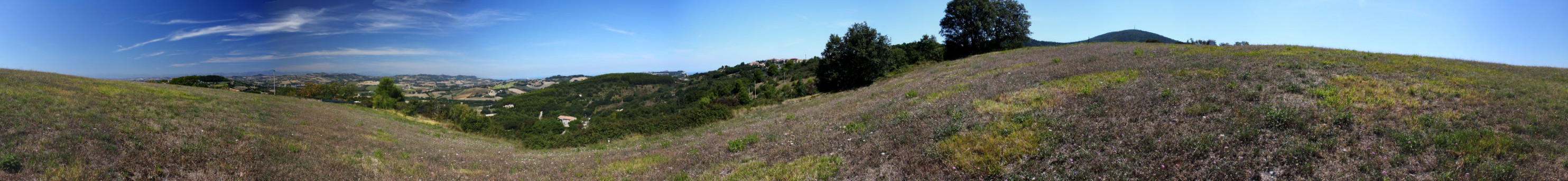 Cercando la Charaxes