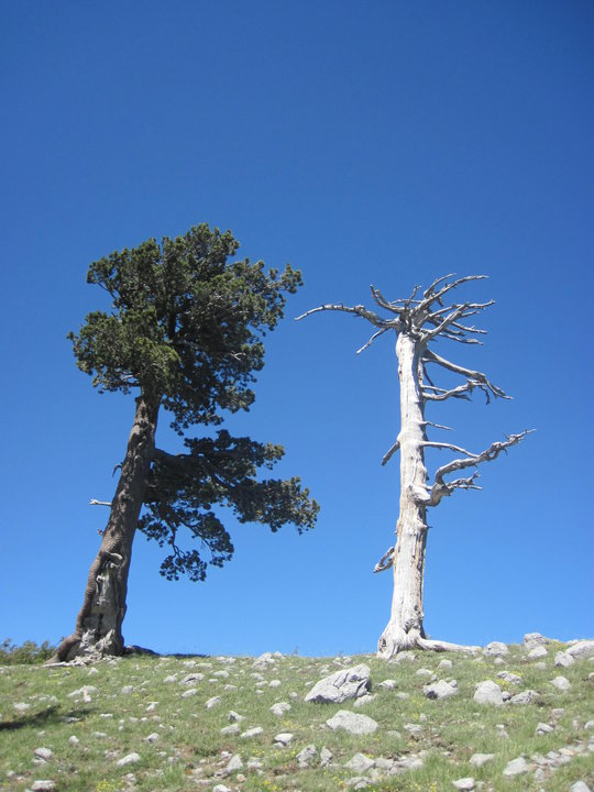 Parco Nazionale del Pollino