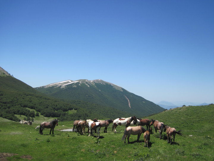 Parco Nazionale del Pollino