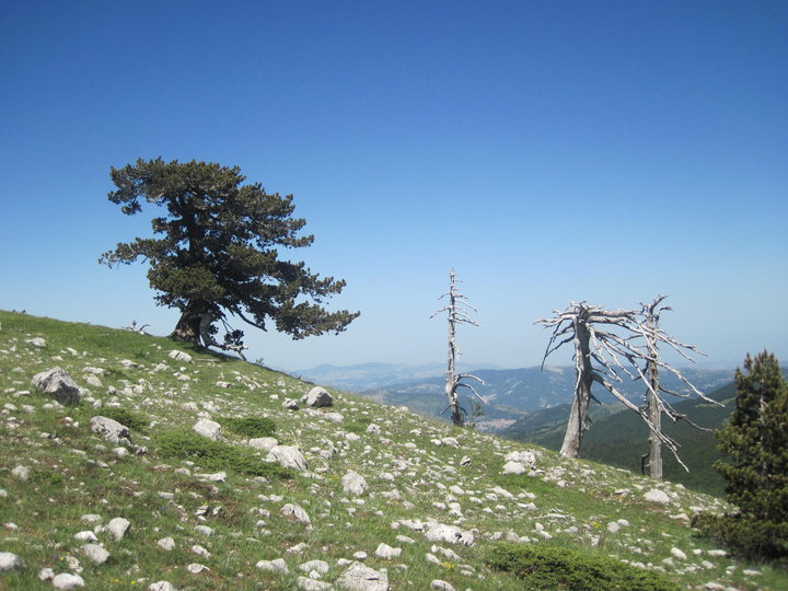 Parco Nazionale del Pollino