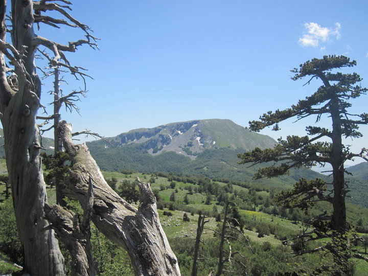 Parco Nazionale del Pollino