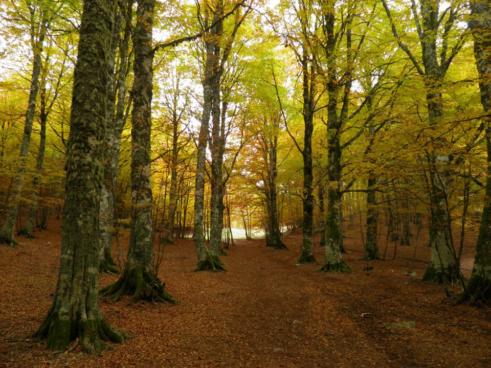 Parco Nazionale del Pollino